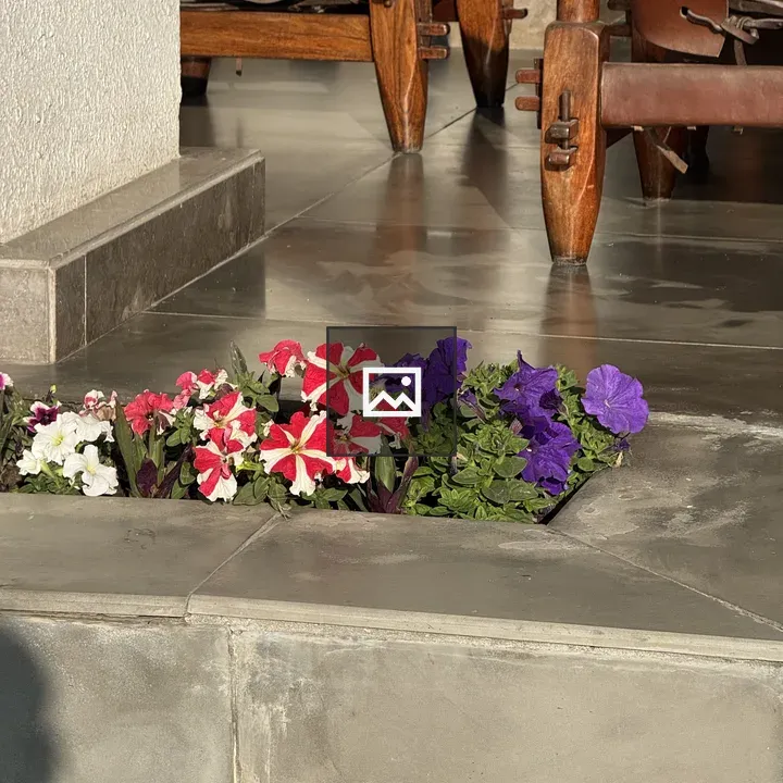 Stone planter with flowers