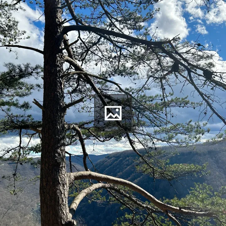 Endless Wall Trail at New River Gorge