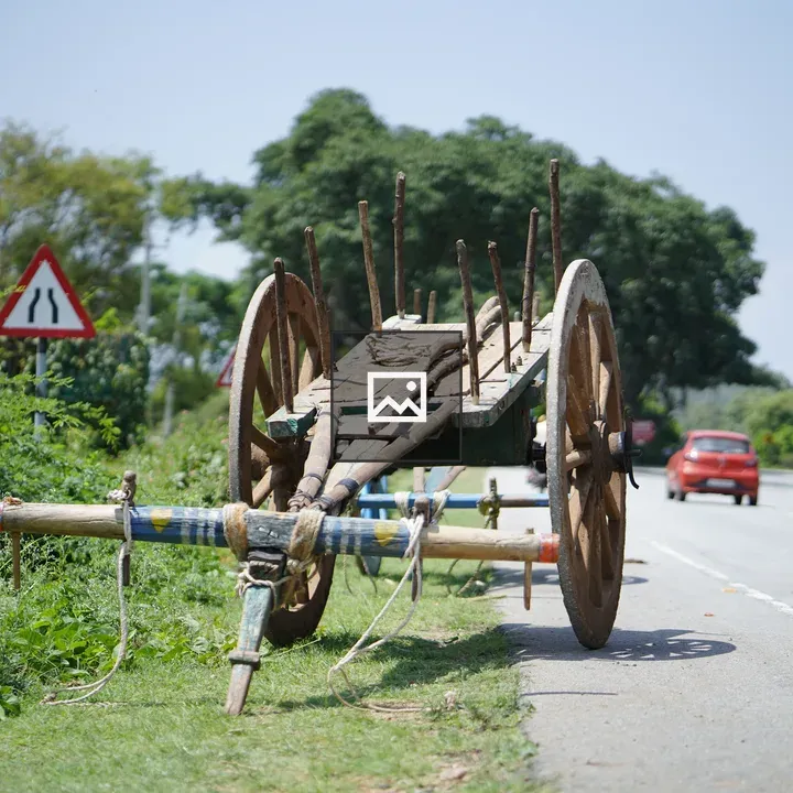 Means of transportation with oxen