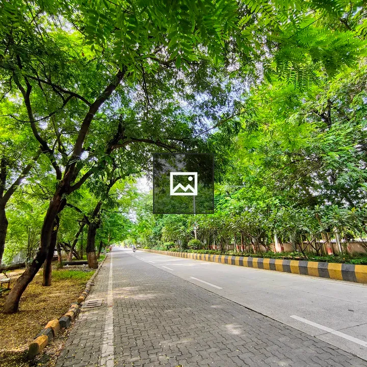 Street with Trees in Nagpur