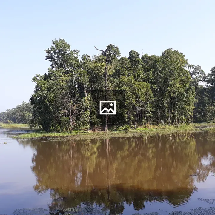 Serene lake with trees and blue sky
