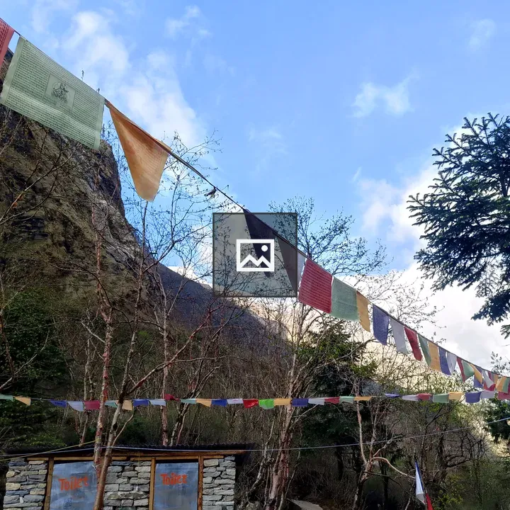 Colorful prayer flags in mountains