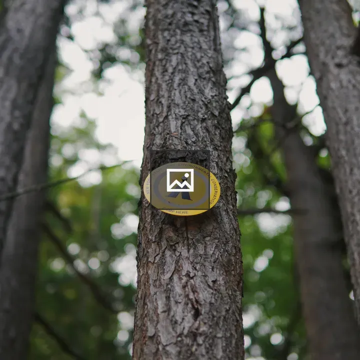 Yellow camping sign on tree