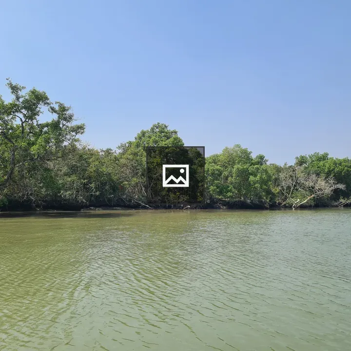 Riverside in Sundarban