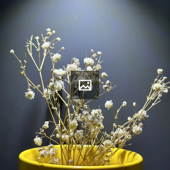 Flower in a small pot