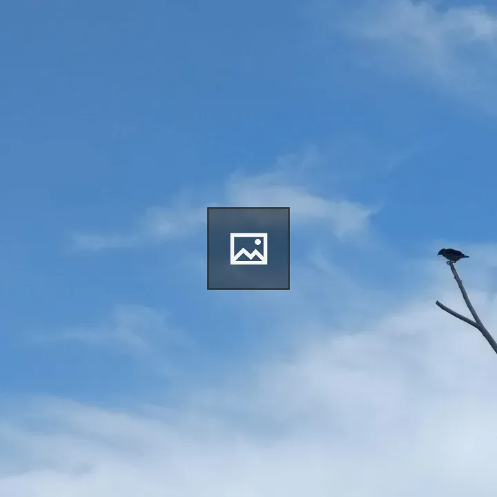 Bird on a Branch against Sky