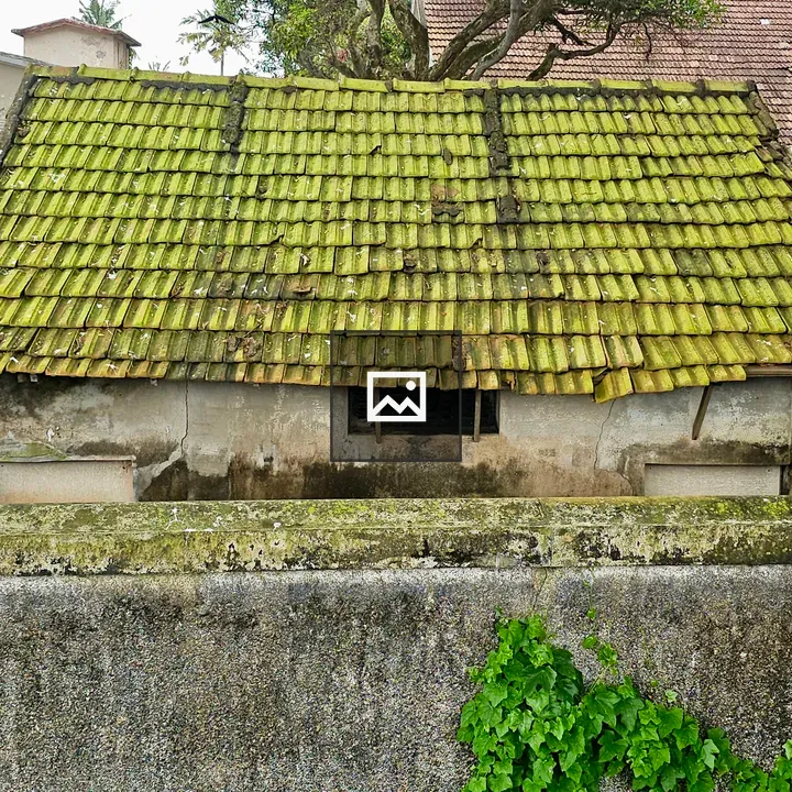 Aged building with mossy clay tiles