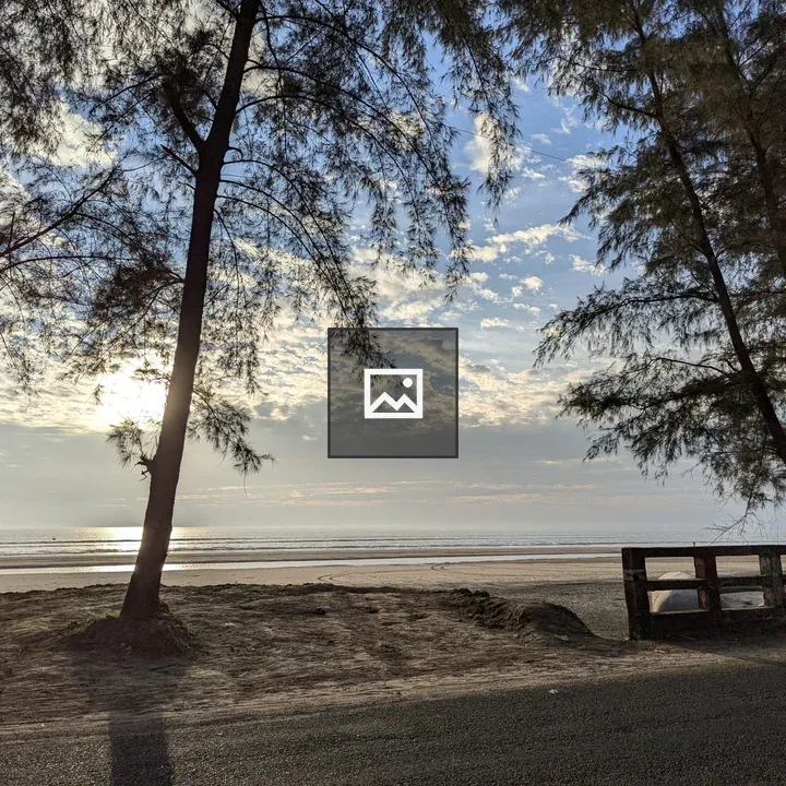 Beach at Sunset with Silhouetted Trees