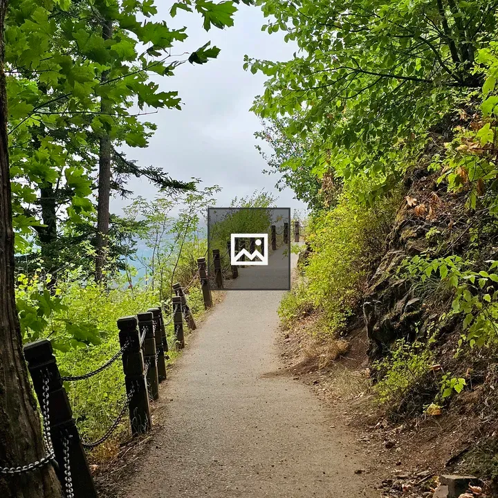 Trail along chain railing in forest