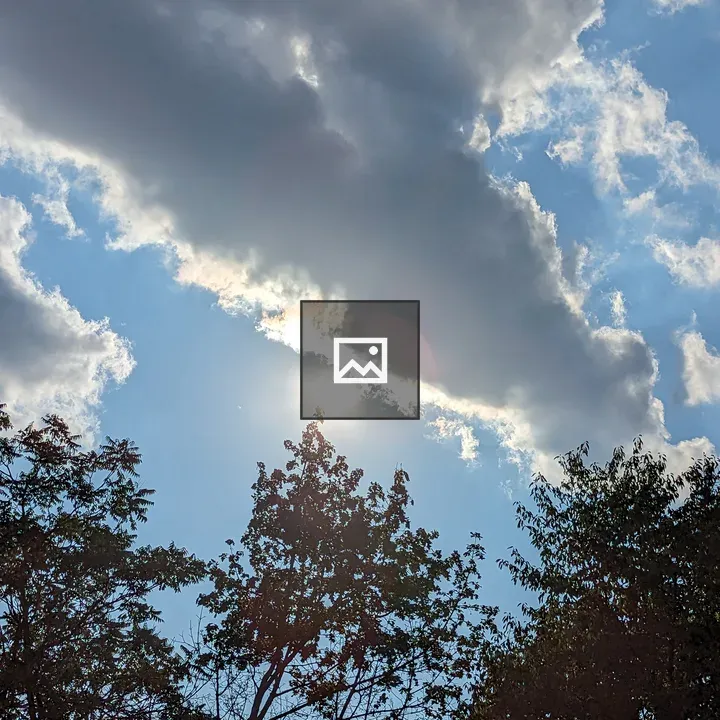 Blue sky behind trees