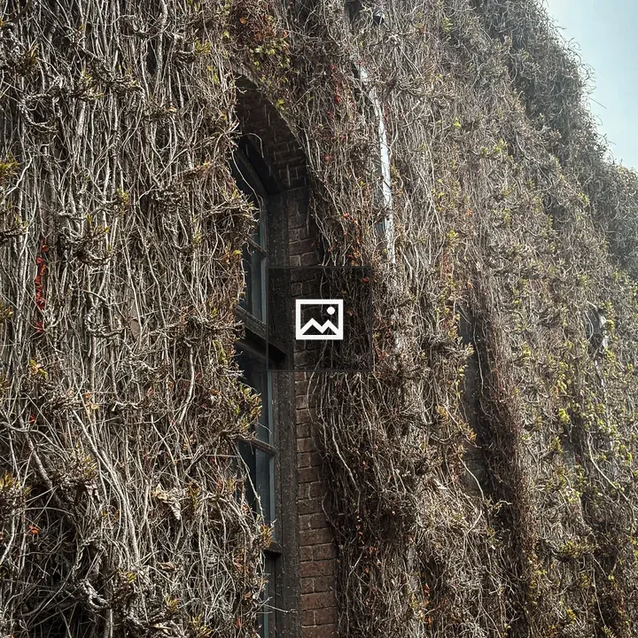 Brick Wall with Vines and Window