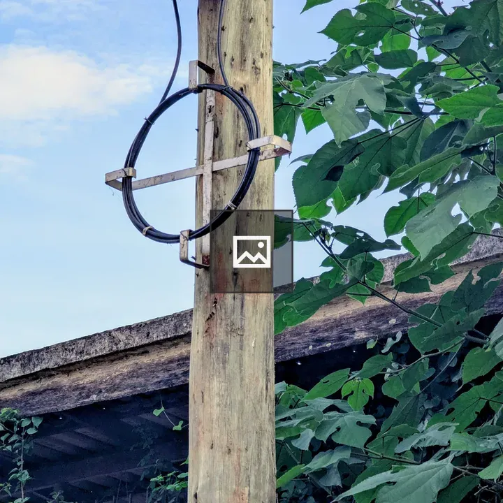 Wooden utility pole with cable holder