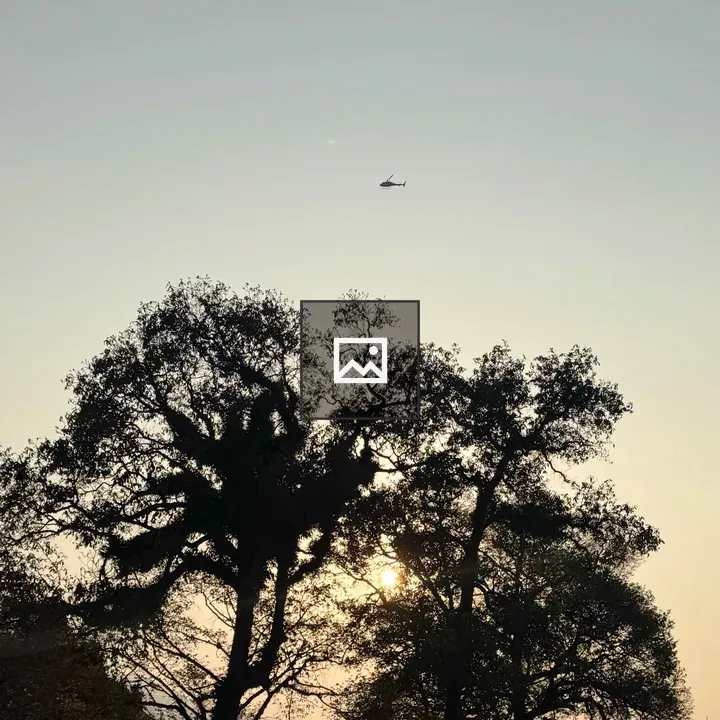 Silhouetted trees at sunset with helicopter