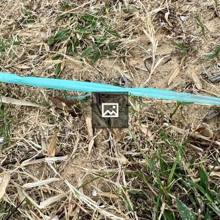 Blue plastic straw on ground