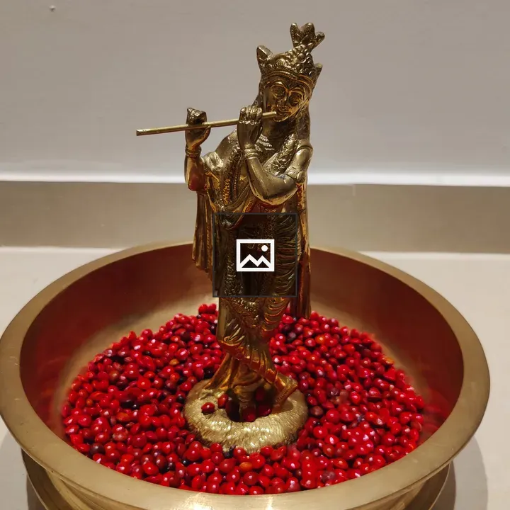 Lord Krishna Brass Uruli