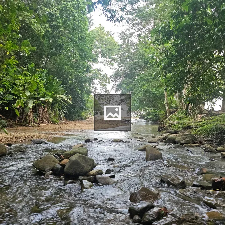 Stream through rocks and greenery