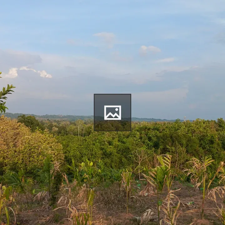 Tree line and field landscape