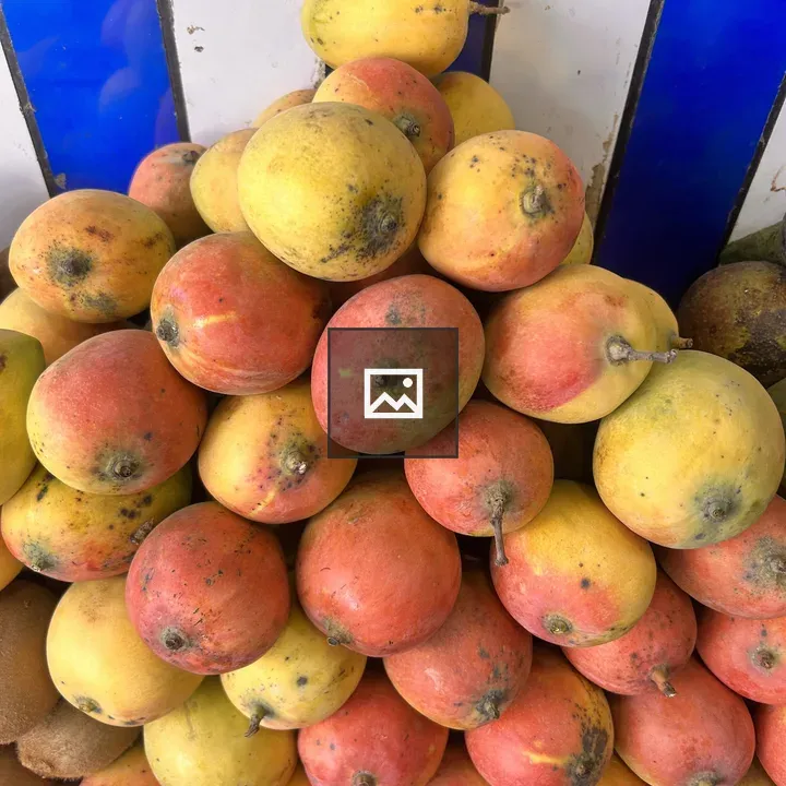 Mangoes with Blue Stripe Background