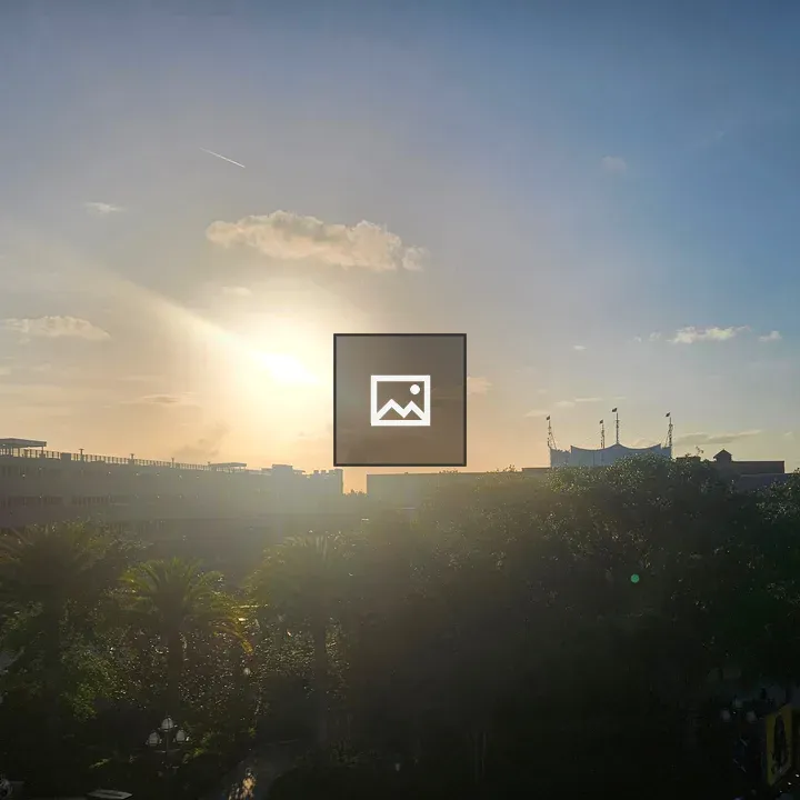 Sunset over palm silhouettes