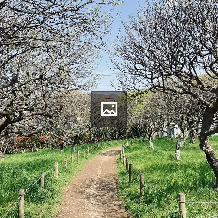 Walking path in a park