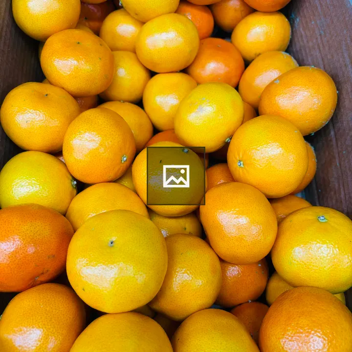 Mandarins in a Cardboard Box