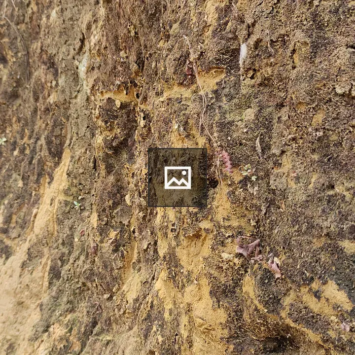 Dirt on a river bank hill