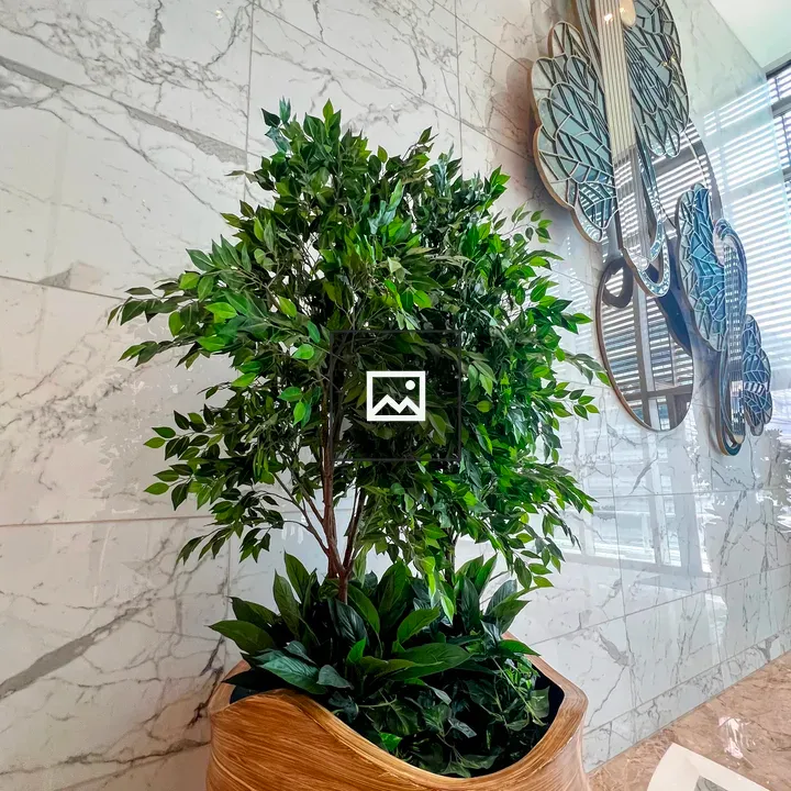 Leafy indoor plant in wavy wooden planter