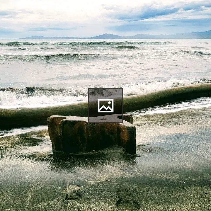 Waves Hit a Wooden Log on Beach