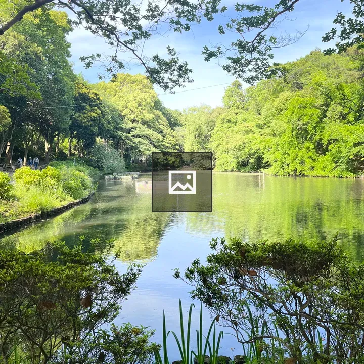 Park Scene with Pond and Trees