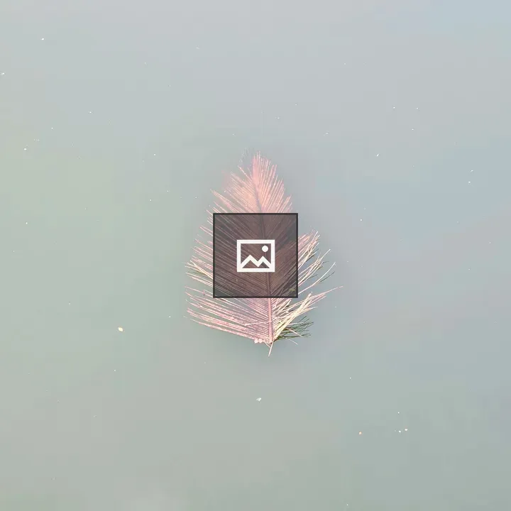 Coconut Leaf Floating on River