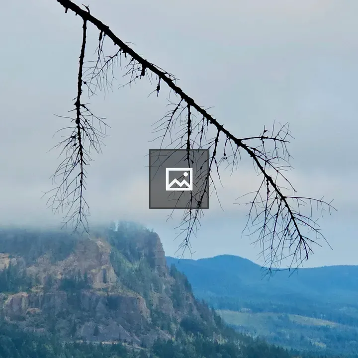 Bare tree branch against cloudy sky