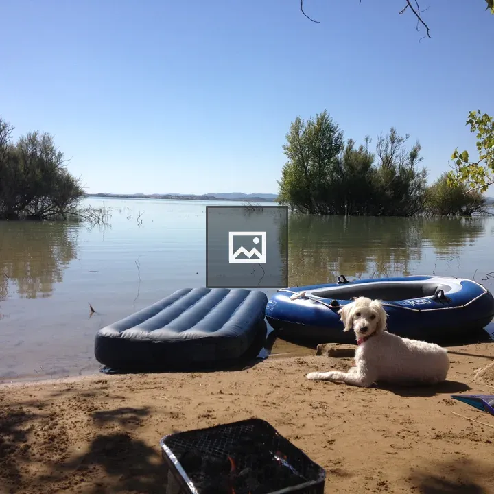 White dog on sandy beach