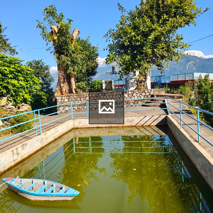 Blue boat on green pond