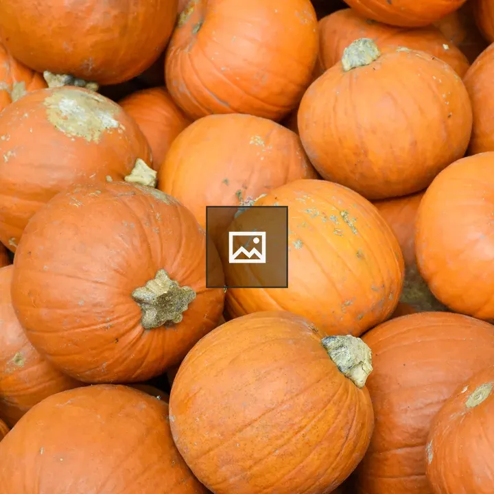 Scattered pumpkins