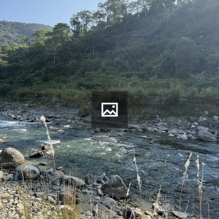 Riverside Scene with Clear Water
