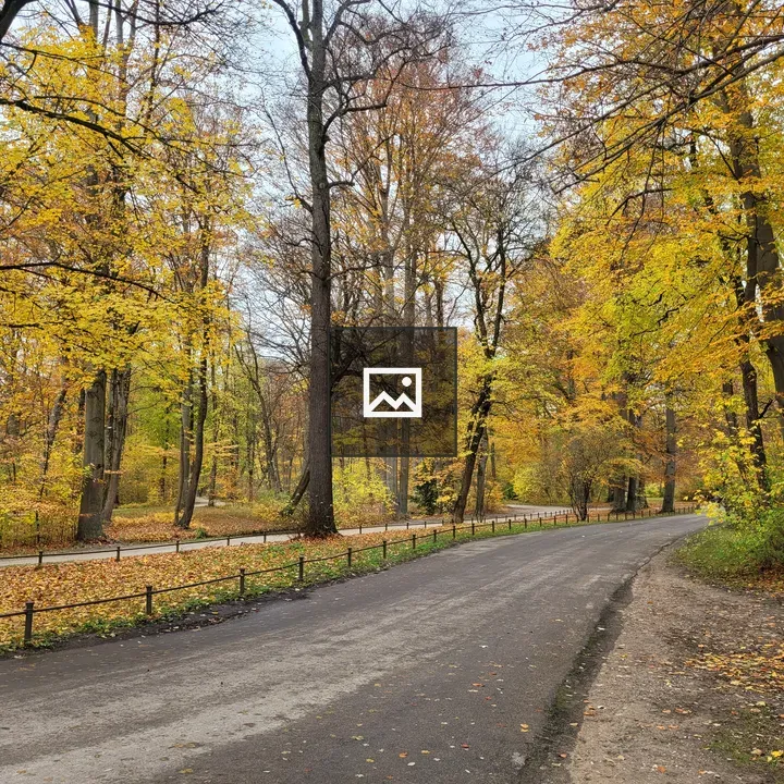 Autumn Forest in Munich