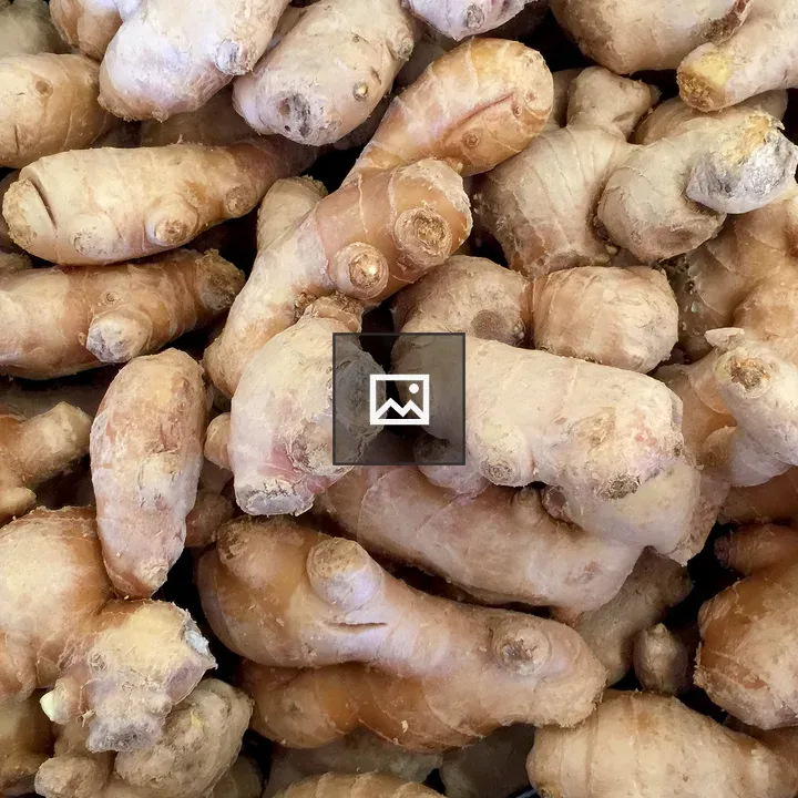 Ginger