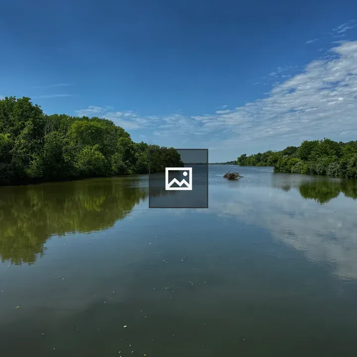 Calm river with green reflections