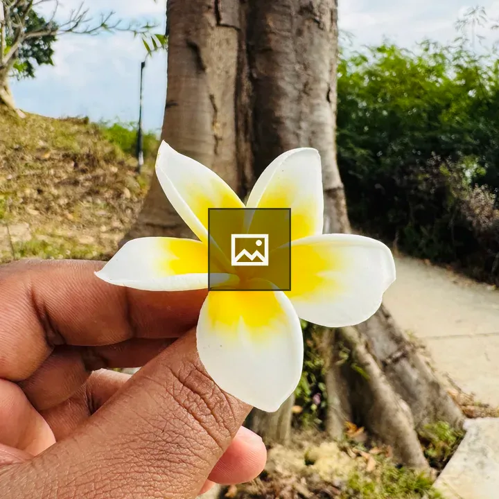 Person with flower near tree trunk