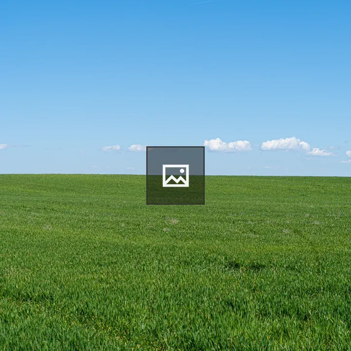 Green Grass Field