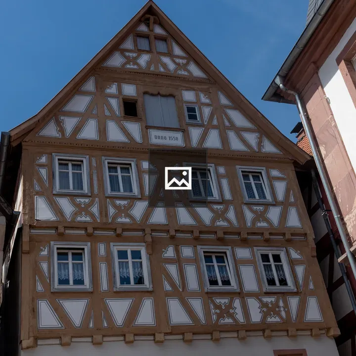 Windows on a House in Neckargemünd