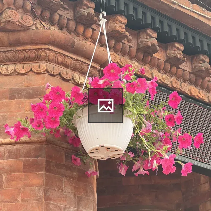 White Hanging Planter with Pink Petunias