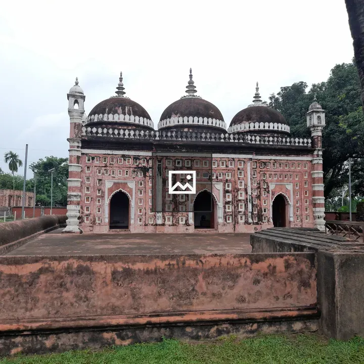 Historic mosque with domes and palm