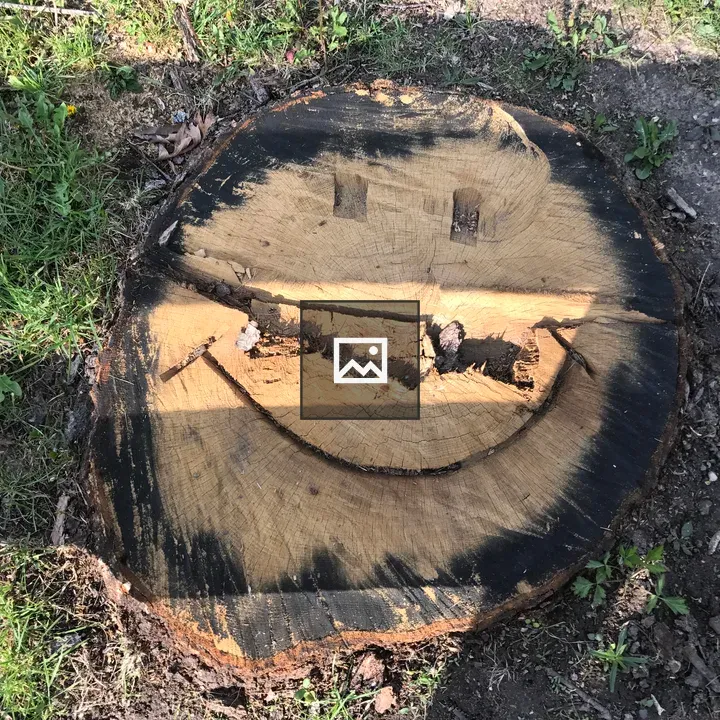 Tree stump with smiley carving
