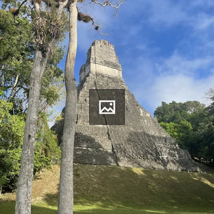 Tikal Pyramid and Trees