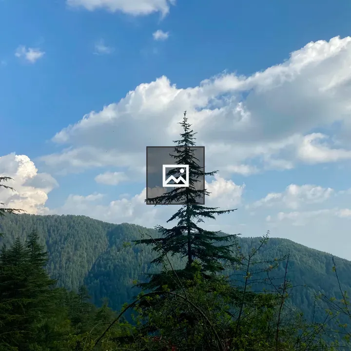 Mountain peak with evergreen trees