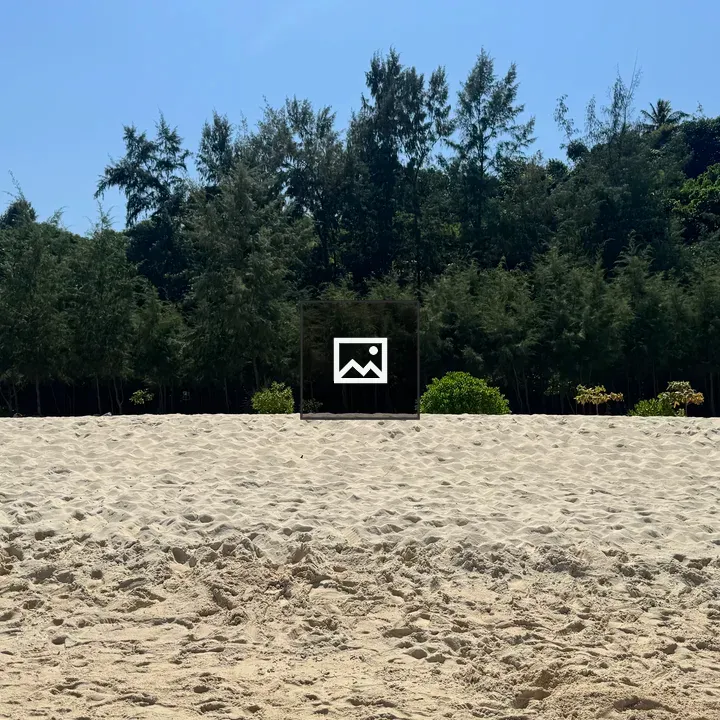 Long White Sand Beach with Green Trees