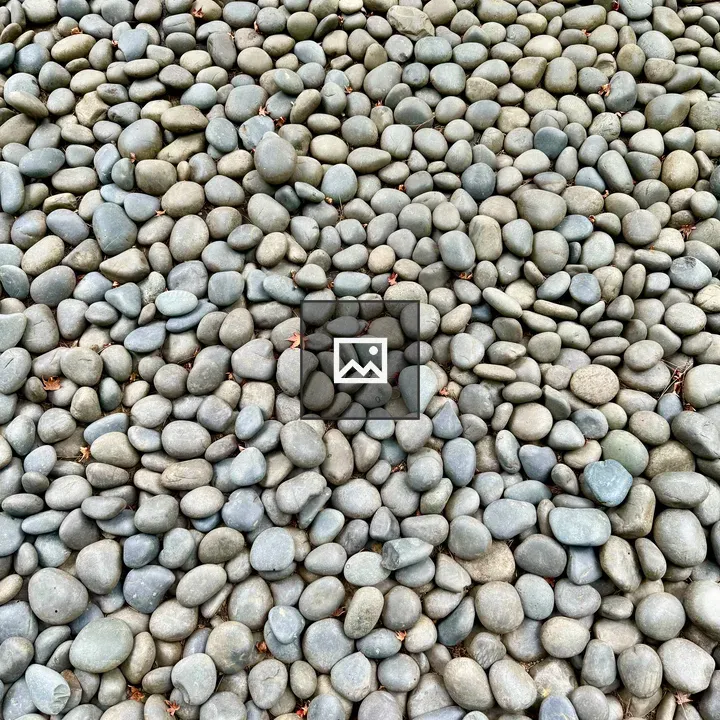 Pebbles on a garden path