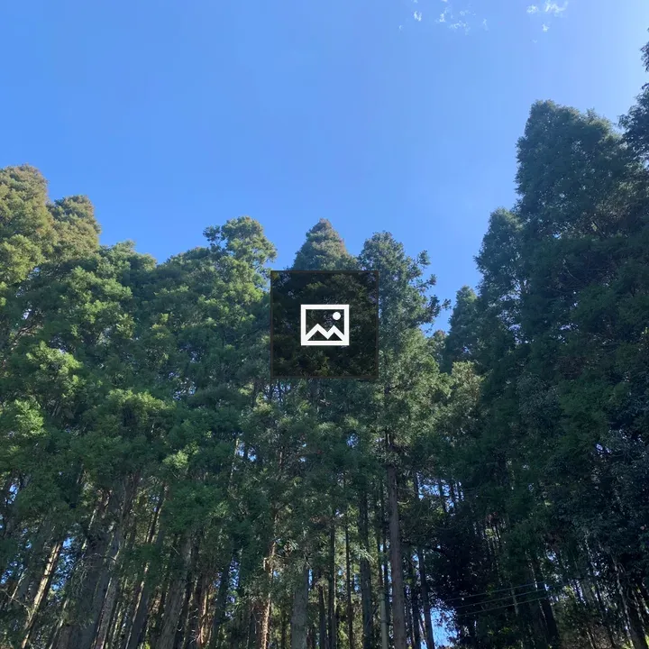 Mangi Castle Ruins Cedar Forest
