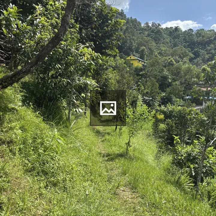 Narrow Path to Yellow House